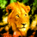 Lion Rastafari