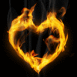 Coeur de feu