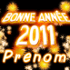 "Bonne année 2011"