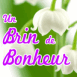 Muguet: un brin de bonheur!