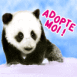 Bb panda "Adopte-moi"