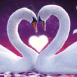Deux cygnes en forme de coeur