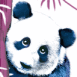 Panda sur fond de bambous