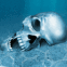Crâne au fond des eaux