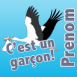 Cigogne "C'est un garon!"