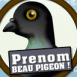 T'es un beau pigeon!