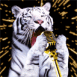 Tigre de sibrie chantant
