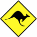 Panneau danger kangourou