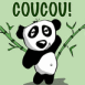 Panda "coucou"