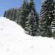 Bordure de piste de ski avec sapins