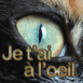 Oeil de chat "Je t'ai  l'oeil"