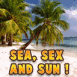 Plage et palmiers "Sea, sex and sun!"