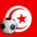 Tunisie: Drapeau et ballon encastr