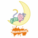 Babouche au clair de lune