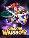 Shadow warrior
