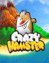Crazy hamster